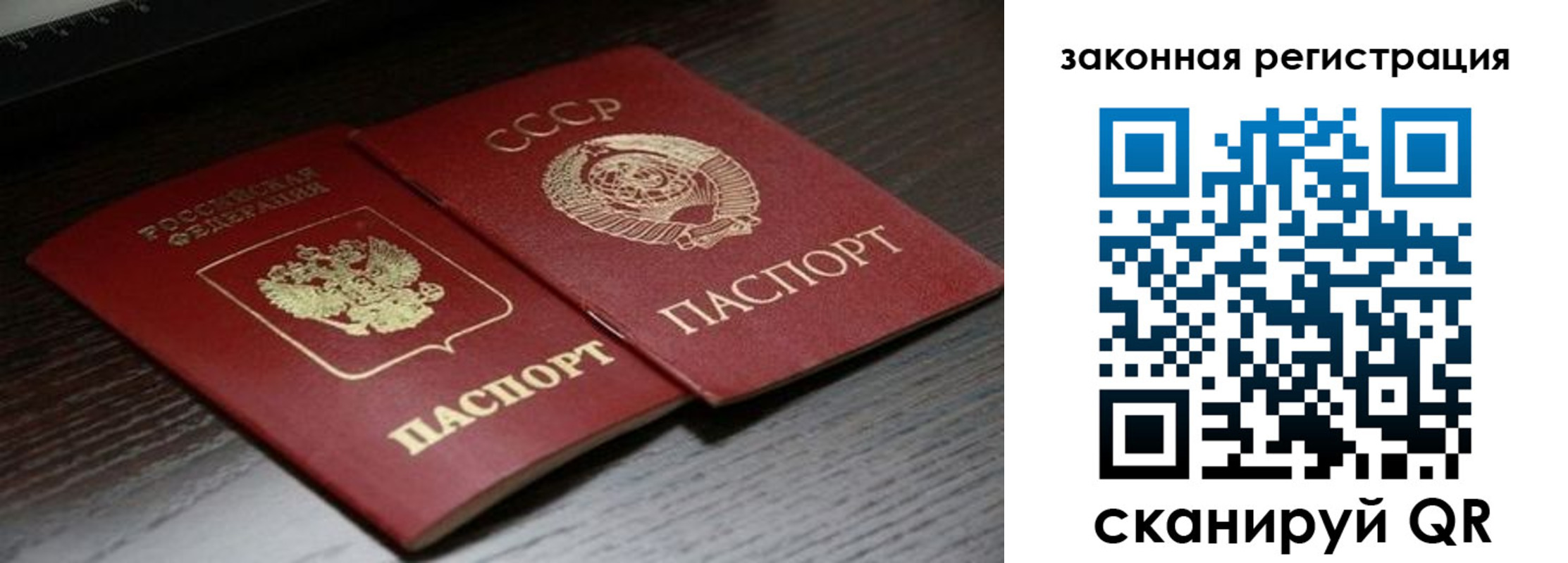прописка поиск в Звенигороде